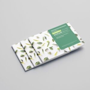 A6 Saddle Stitch Booklet